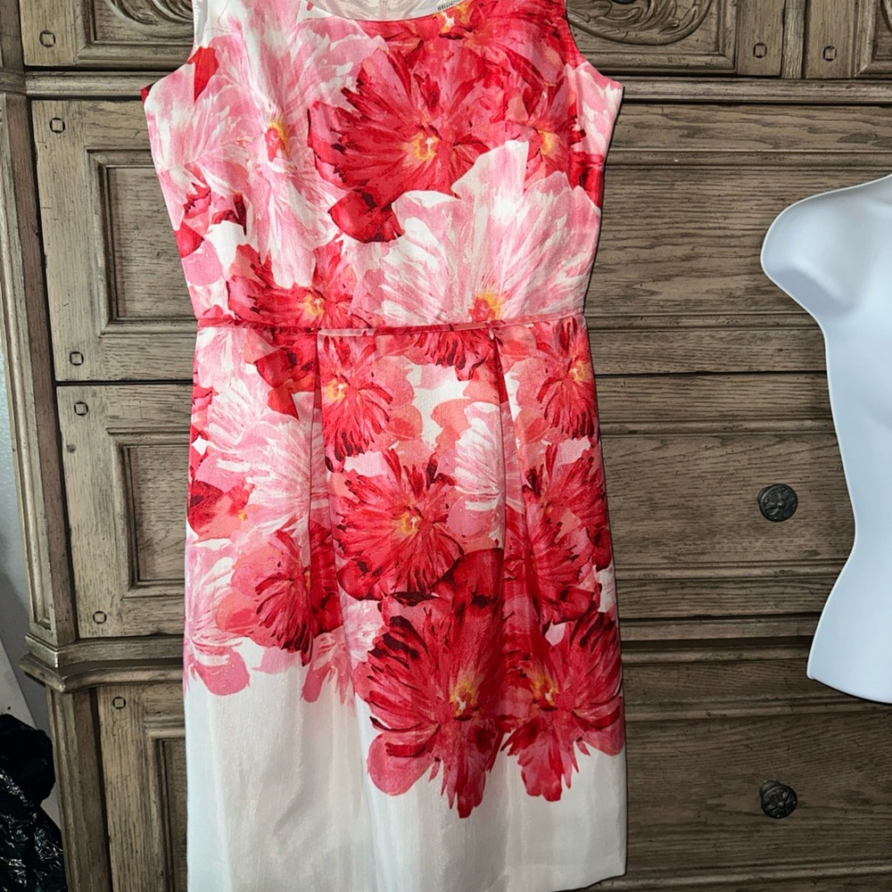 Floral‎ Red and Pink Dress